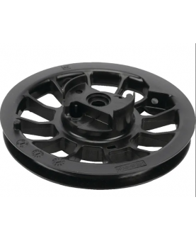 Ensemble poulie ressort Briggs & Stratton 791849