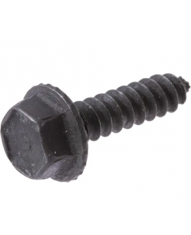 Vis 591103 Briggs & Stratton