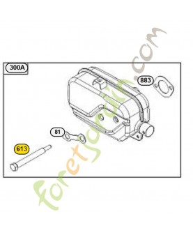 796496 Vis 796496 Vis Briggs & Stratton