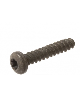  Vis 594115  Briggs & Stratton