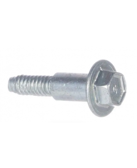   Vis 596718  Briggs & Stratton