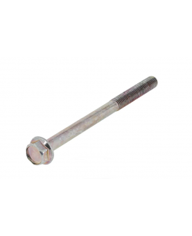  Vis 842618  Briggs & Stratton