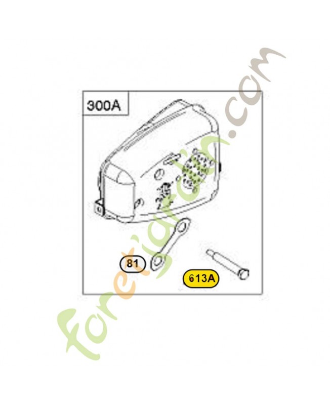 Vis 793495 Briggs & Stratton 0003-000-2108