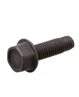  Vis 590562 Briggs & Stratton