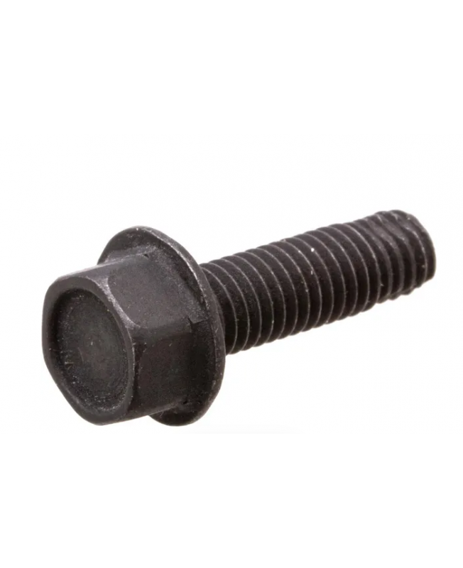  Vis 590562 Briggs & Stratton