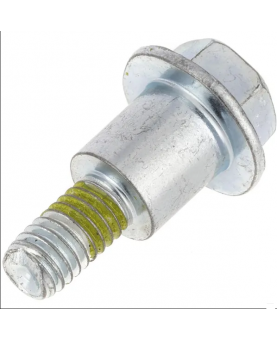  Vis 597133 Briggs & Stratton