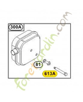 691653 Vis silencieux  Briggs & Stratton