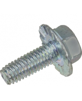  Vis 790745 Briggs & Stratton