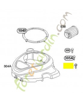 795891 Vis  Briggs & Stratton