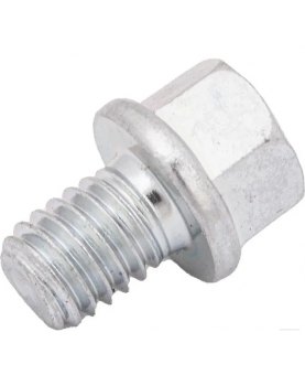 Vis  797654  Briggs & Stratton