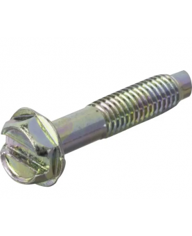 Vis  699208 Briggs & Stratton