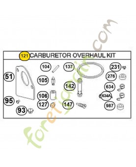 497481 Kit revision carbu