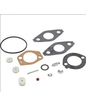 695157 Kit carburateur
