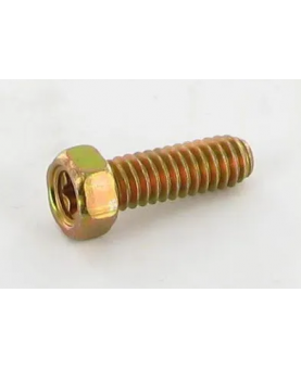 690953 Vis Briggs et Straton. Pièce de rechange pour moteur thermique Briggs et Straton