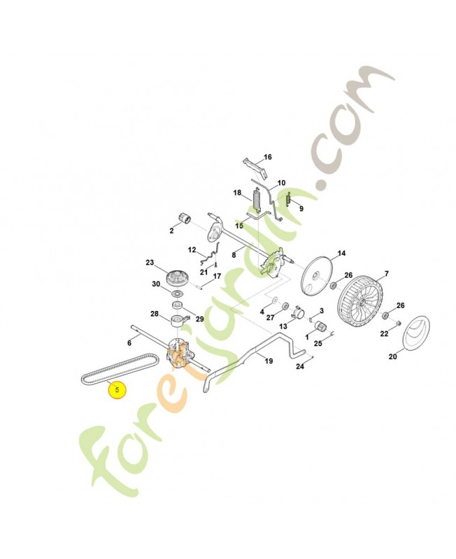 Courroie trapézoïdale. Pièce détachée Stihl / Vicking
