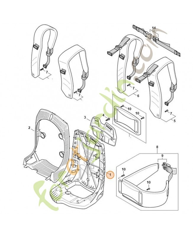 Plaque dorsale Plaque dorsale