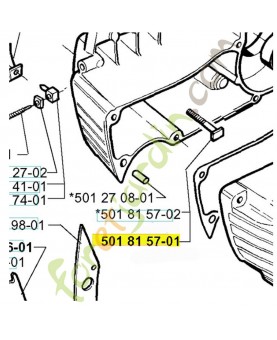 Goujon de guide  référence 501815701