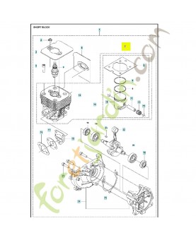 Service kit cylindre piston 588098202. Pièce détachée Husqvarna