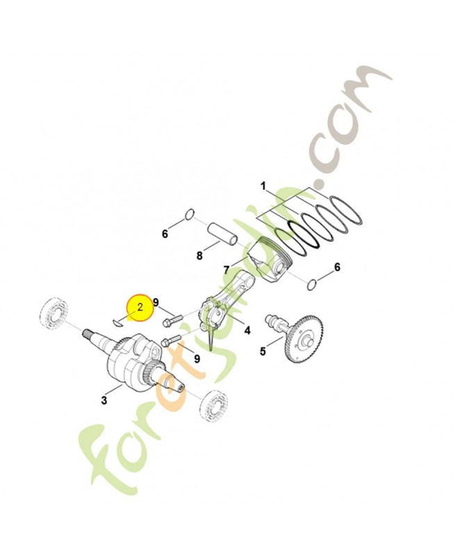 Clavette demi-lune 0004-036-8601. Pièce détachée Stihl / Vicking Clavette demi-lune 0004-036-8601. Pièce détachée Stihl / Vicking