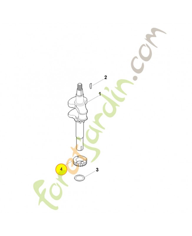 Pignon 0004-036-0100. Pièce détachée Stihl / Vicking Pignon 0004-036-0100. Pièce détachée Stihl / Vicking