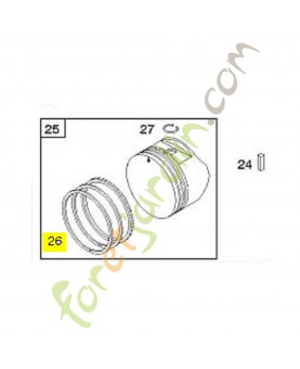 493261 Kit de segments stihl Briggs & Stratton