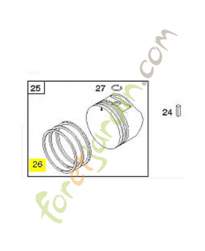 493261 Kit de segments stihl Briggs & Stratton