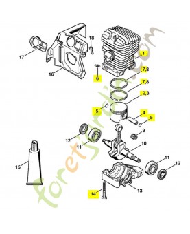 Cylindre+piston d.46