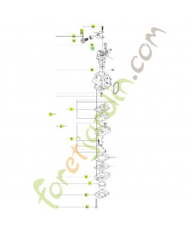 Carburateur référence 523071501