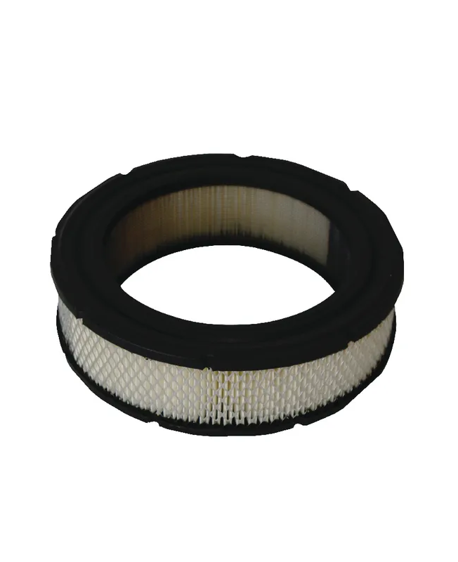 Filtre à air rond  692519 pour briggs et stratton