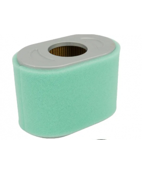 Filtre à air ovale 797032 - Briggs & Stratton