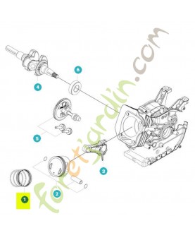 Segment référence 599348986