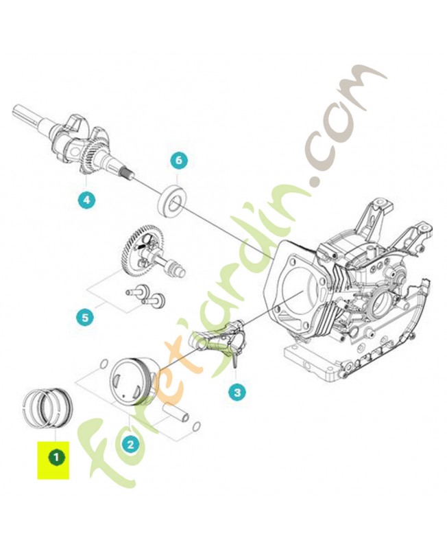 Segment référence 599348986