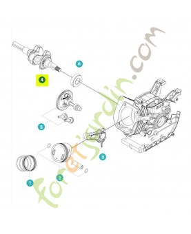 Vilebrequin référence 599348990