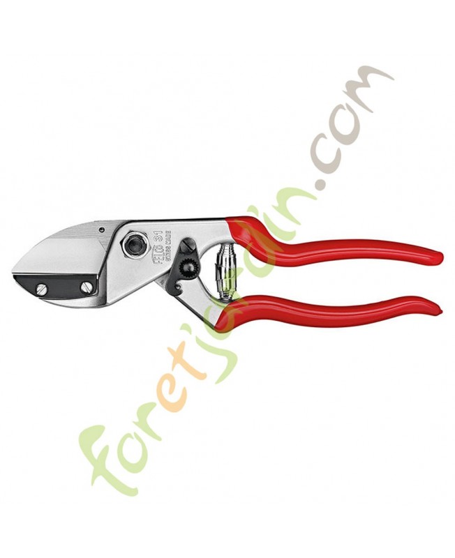 Sécateur Stihl F31 Sécateur Stihl F31