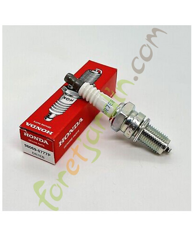 Bougie d'allumage (dr7eb)