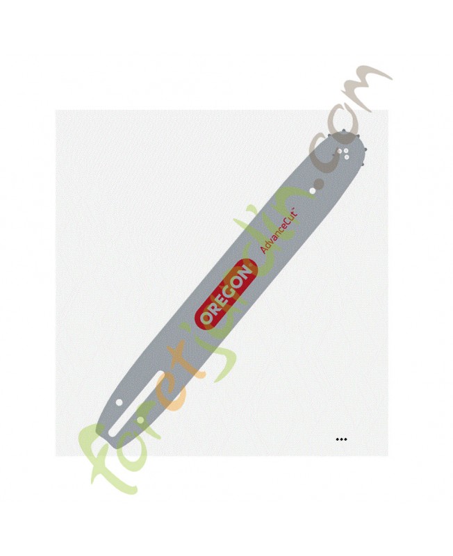 Guide 50 cm Oregon 208SFHD009