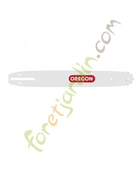 Guide-chaîne à rivet unique 12 po 30 cm Oregon 124MLEA041 pour Husqvarna