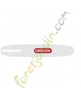 Guide Oregon 100SDEA041 Coupe 25 cm 40 Maillons pour tronconneuse echo