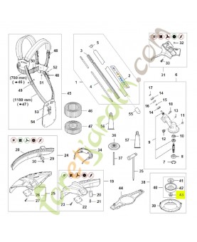 Ecrou a embase m 10 x 1 gauche 4126-642-7600- Pièce de détachée Sithl
