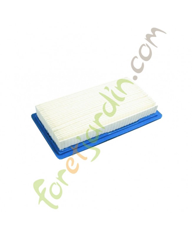 Filtre à air pour moteur Briggs & Stratton