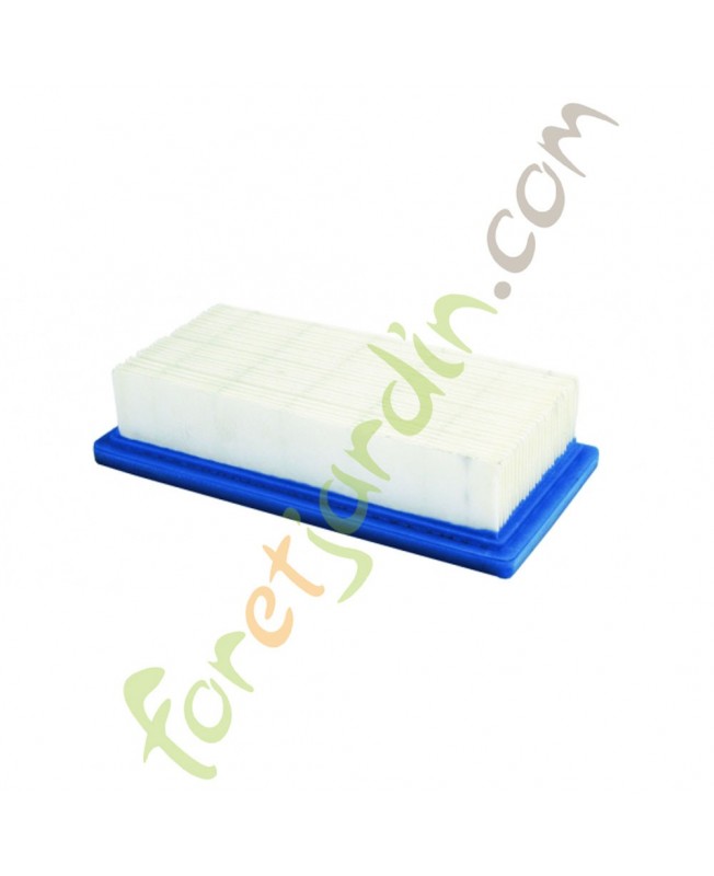 691643 Filtre à air pour moteur Briggs & Stratton 691643 Filtre à air pour moteur Briggs & Stratton
