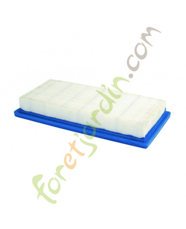 Filtre à air pour moteur Briggs & Stratton