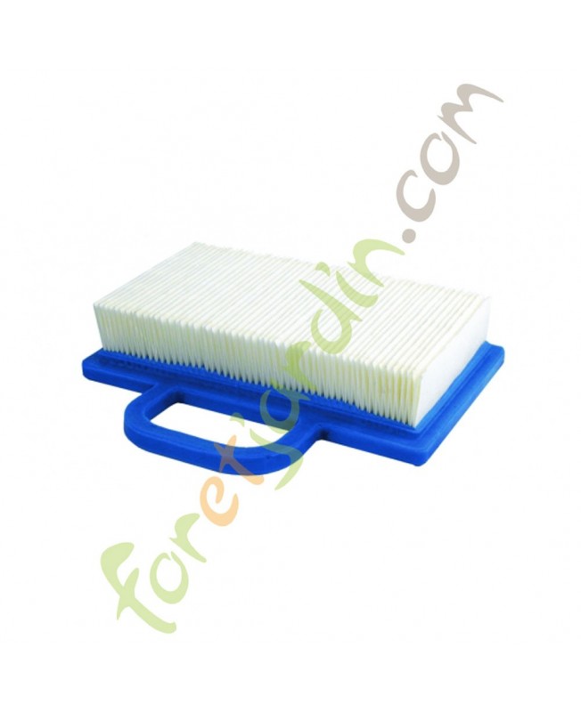 Filtre à air pour moteur Briggs & Stratton