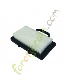 4109896 Filtre à air pour moteur Briggs & Stratton remplace 792101