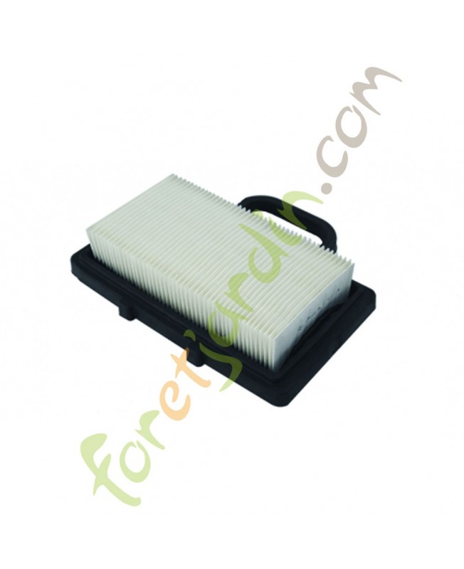 4109896 Filtre à air pour moteur Briggs & Stratton remplace 792101 4109896 Filtre à air pour moteur Briggs & Stratton remplace 792101