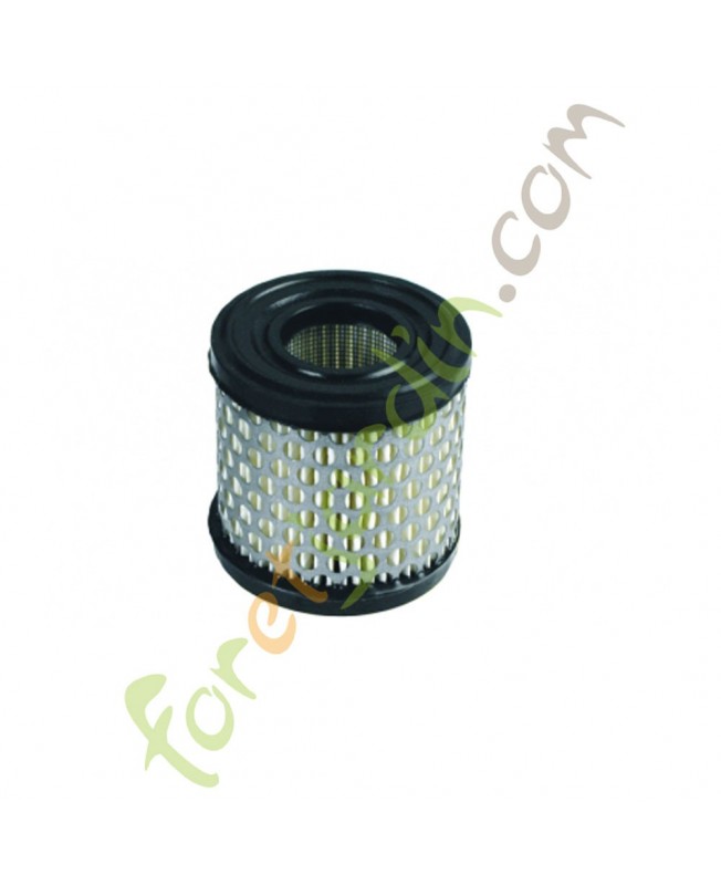 Filtre à air pour moteur Briggs & Stratton