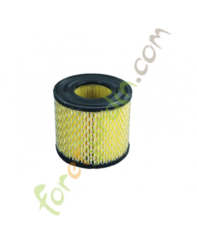 Filtre à air pour moteur Briggs & Stratton