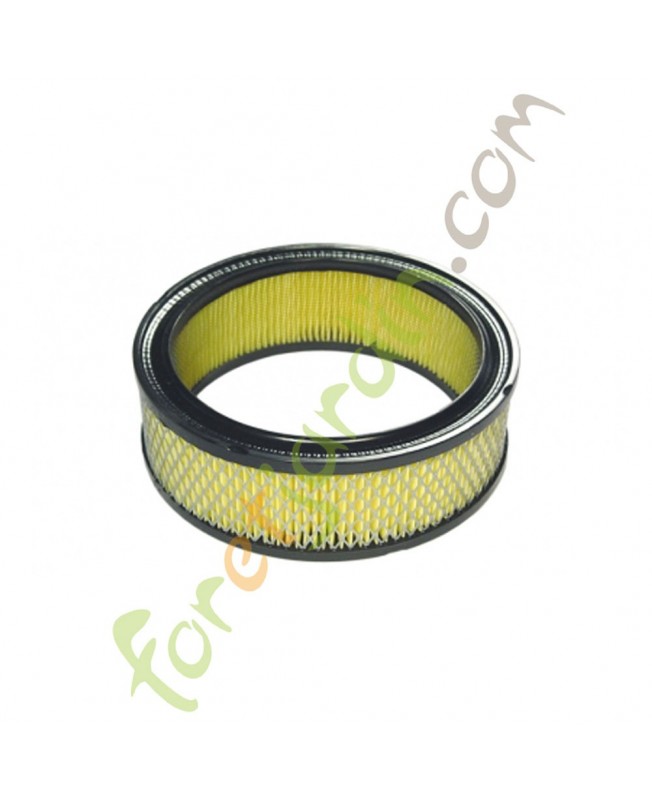 Filtre à air pour moteur Briggs & Stratton Filtre à air pour moteur Briggs & Stratton