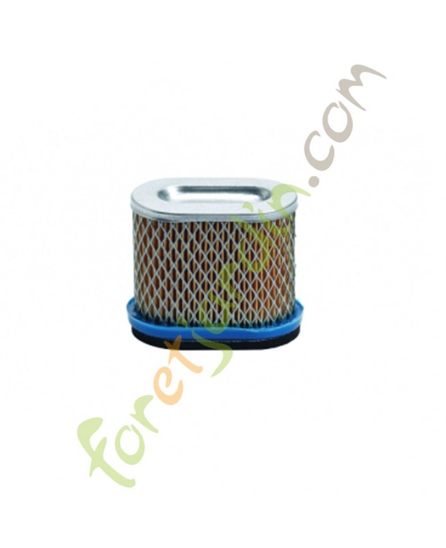 Filtre à air pour moteur Briggs & Stratton