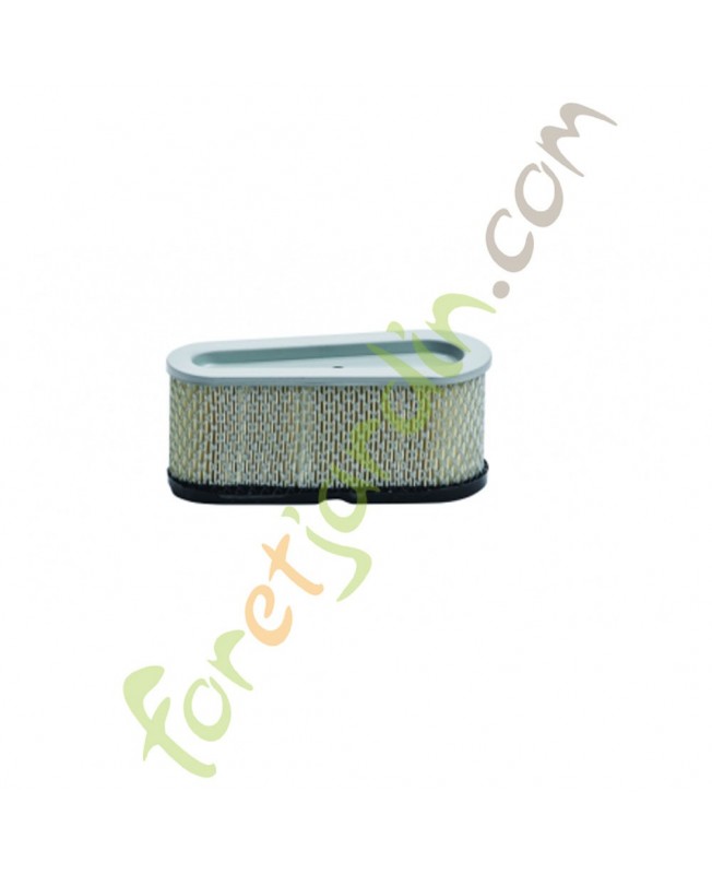 Filtre à air pour moteur Briggs & Stratton